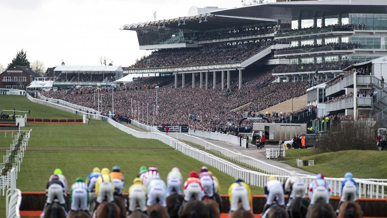 Gold Cup Glory: Memorable Sporting Underdog Stories