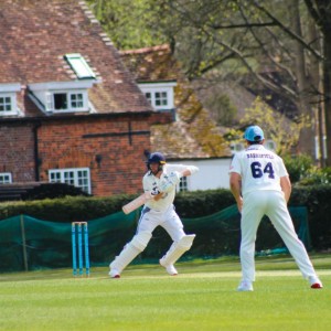 Harry Lane