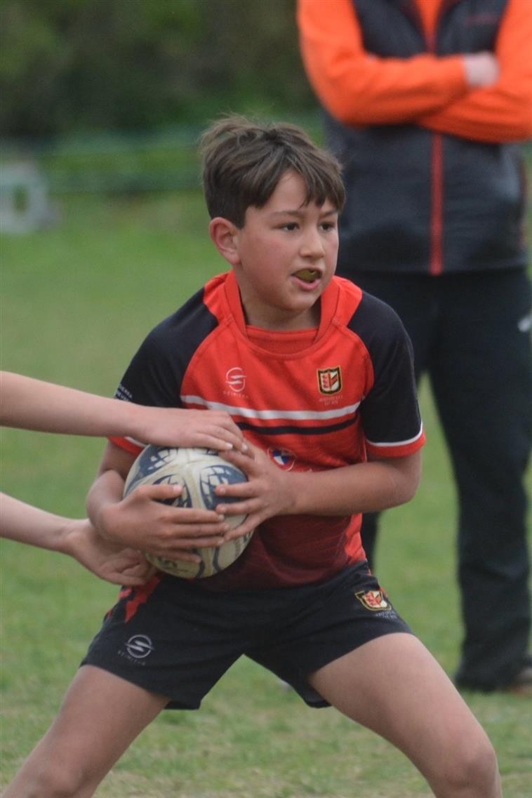 Harry Coleman