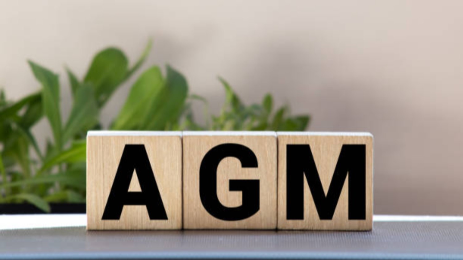 AGM 2026