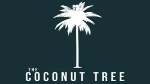 Coconut Tree