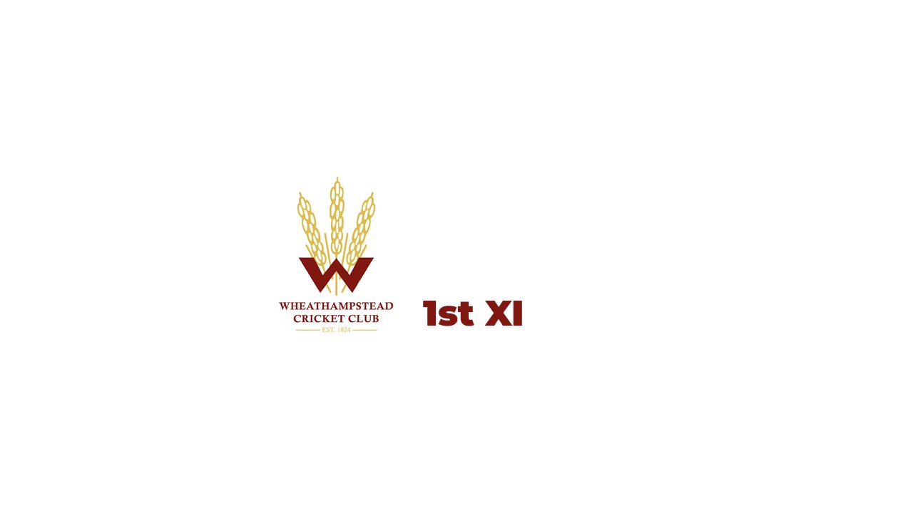 1st XI