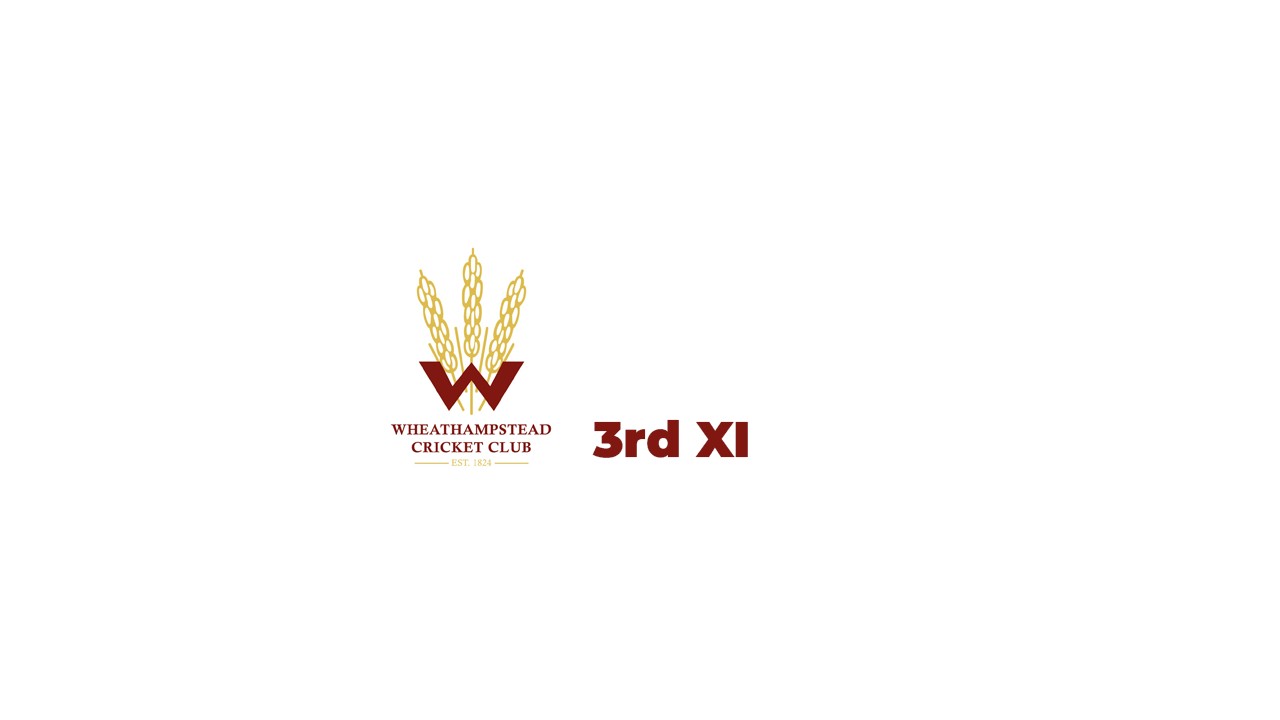 3rd XI