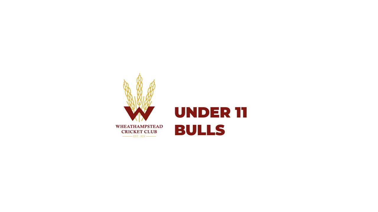 U11 Bulls