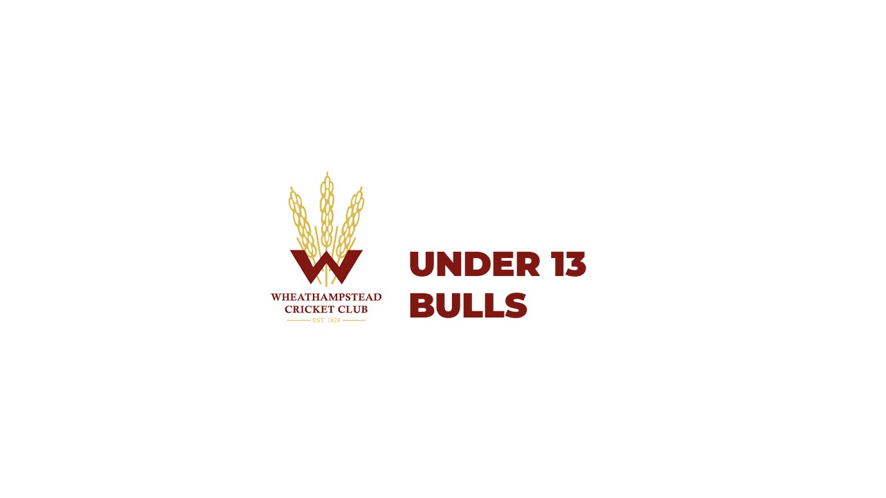 U13 Bulls