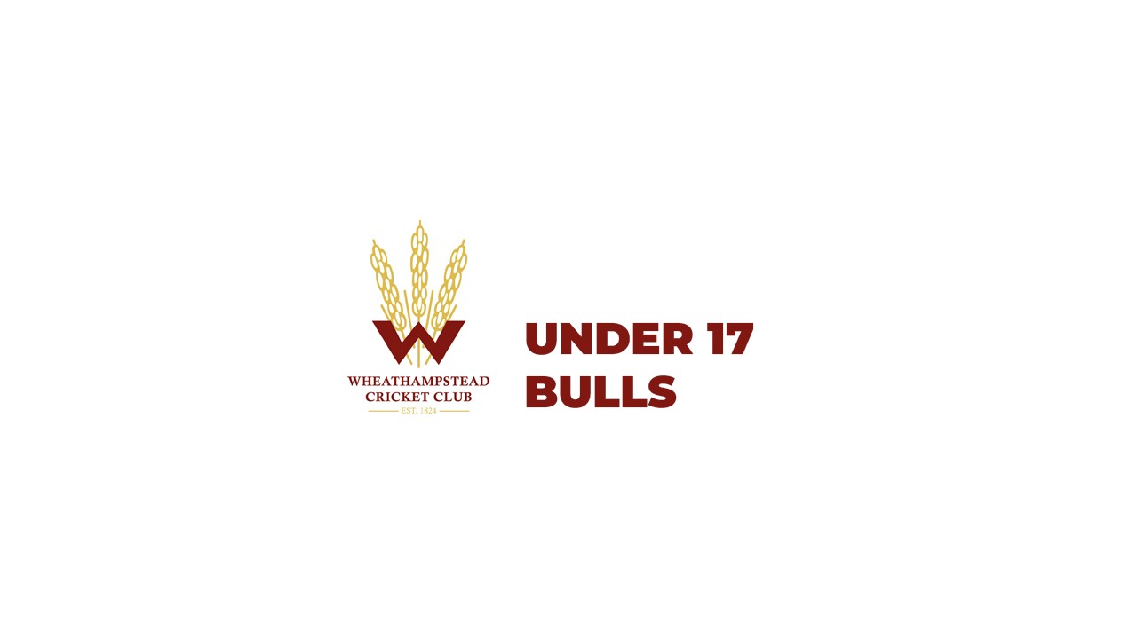 U17 Bulls
