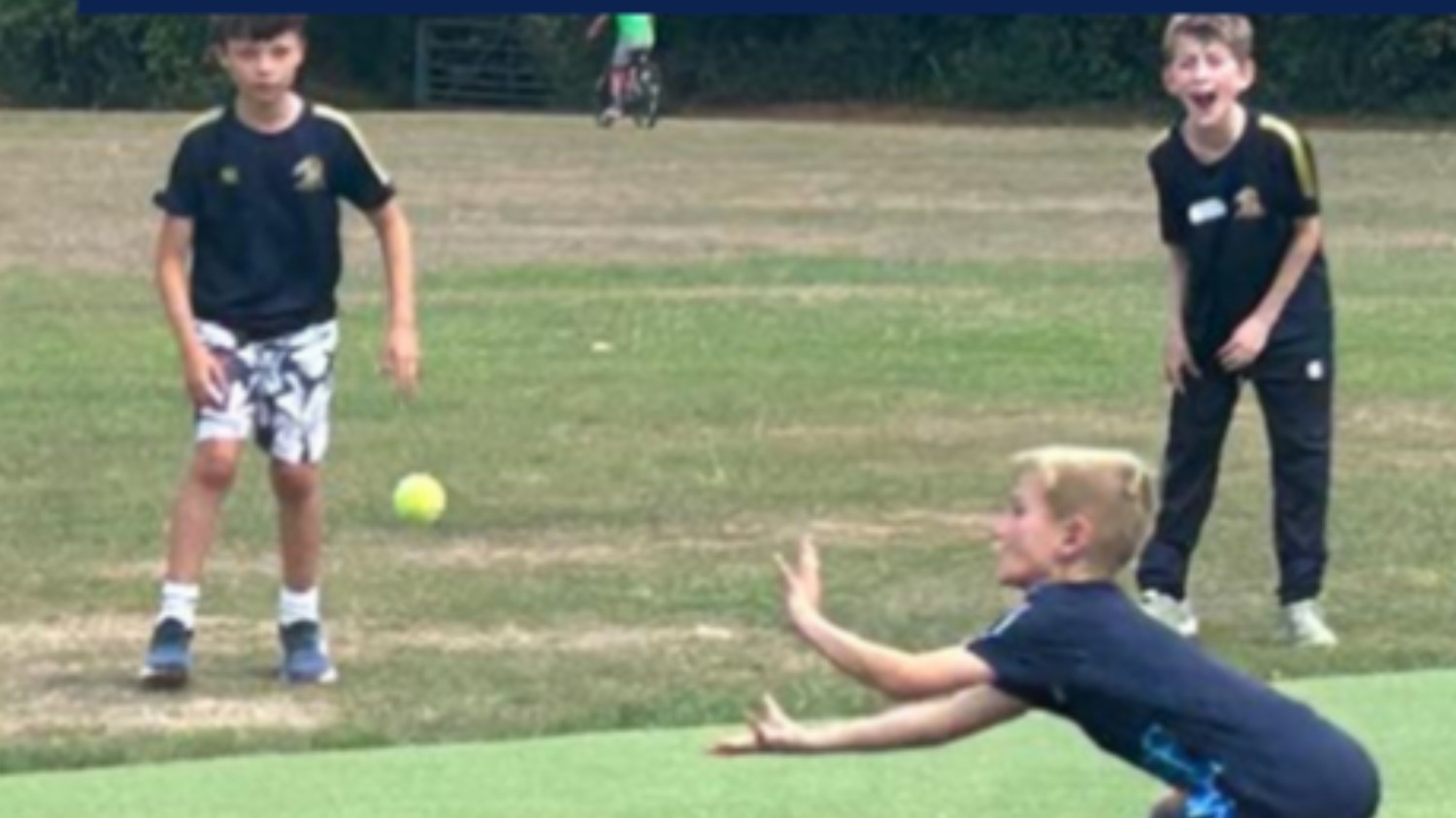 Cricket camps - May half-term and summer