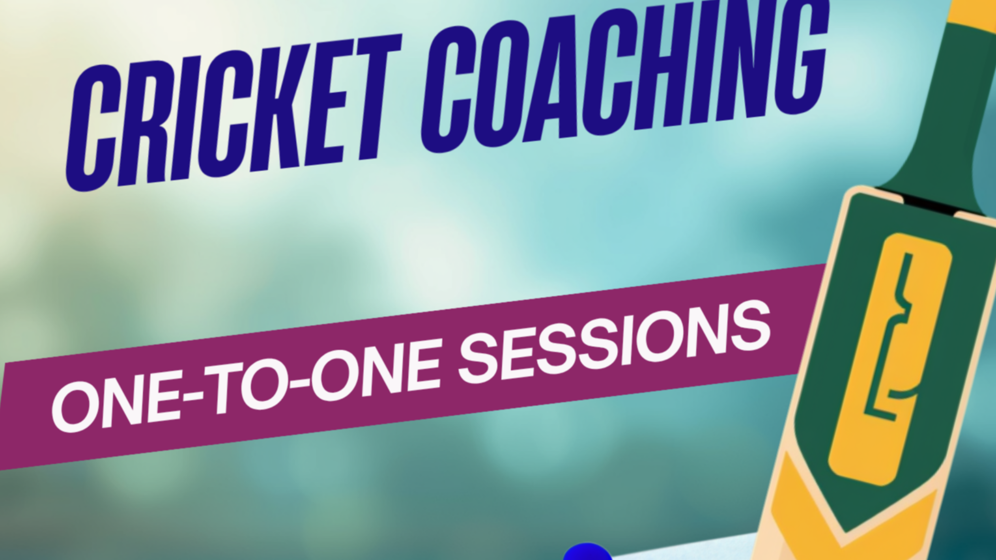 121 coaching sessions