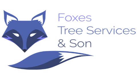 Foxes Tree Services