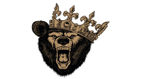 Crazy Bear