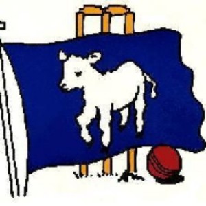 Potterne CC