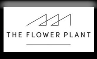 The Flower Plant