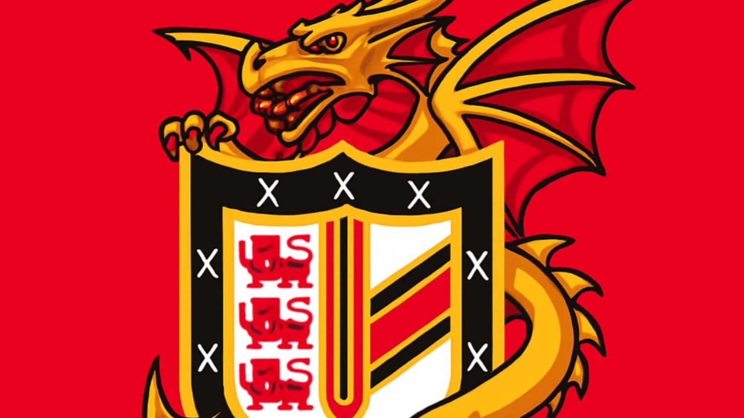Hereford Wyverns U12-U16